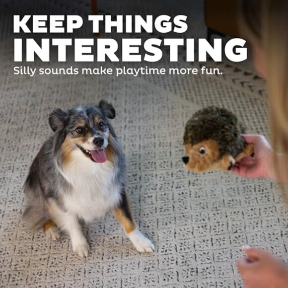 Plush Dog Toy Squeaker Grunter Interactive Play Cuddly Hedgehog Design - Picture 5 of 7